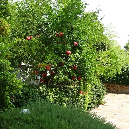 Nyaraló Il Melograno *