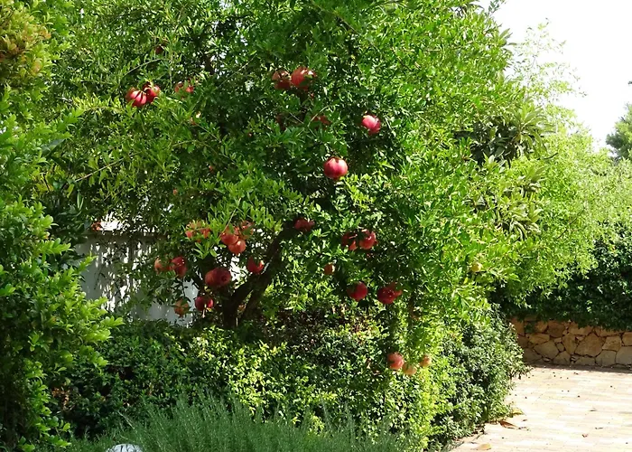 Casa vacanze Il Melograno *